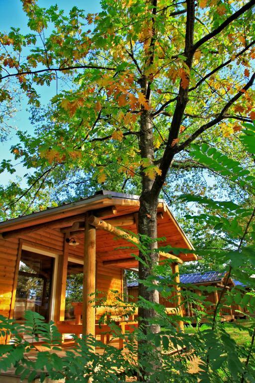 Albirondack Camping Lodge&Spa Quarto foto