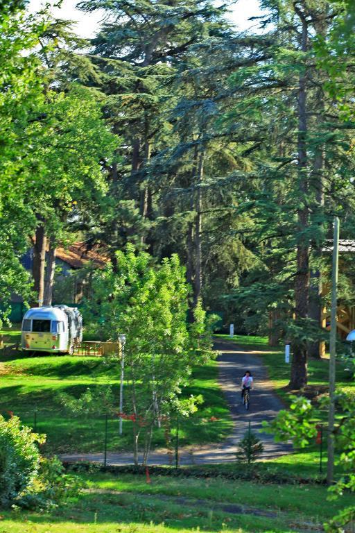 Albirondack Camping Lodge&Spa Exterior foto